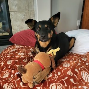 Meet your Posher, Rachel